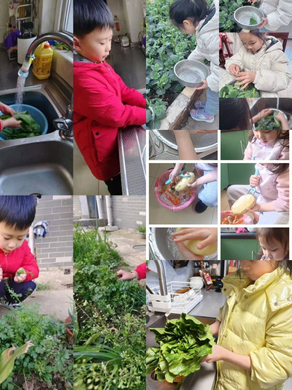 微信图片_20250618142038.jpg